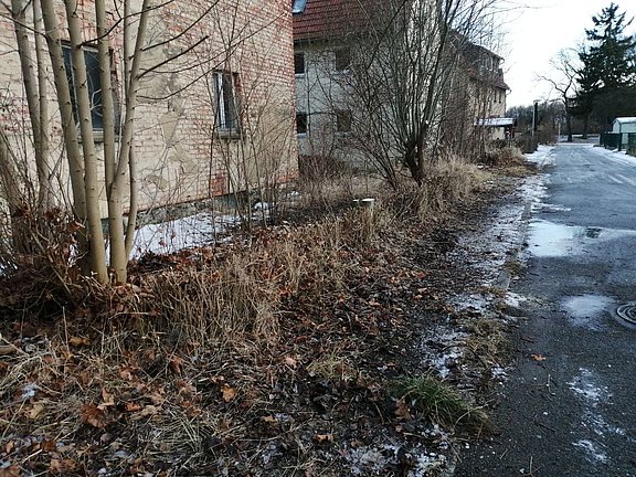 Sträucher verschneiden durch Hausmeistersevice Ziebula - nachher
