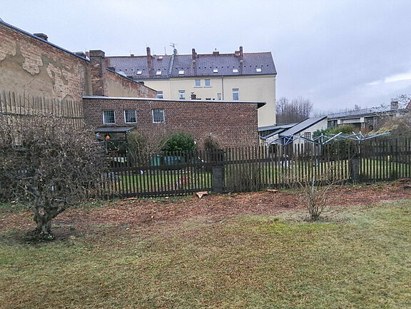 beseitigte Koniferenhecke am Holzzaun