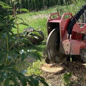 Diese Baustelle war ein privates Gartengrundstück in Eibau. 